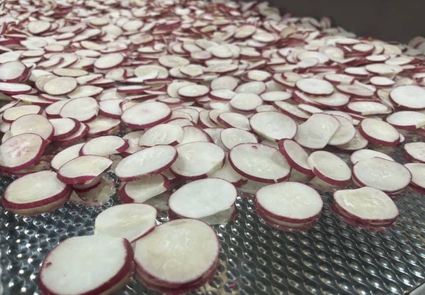 vibratory conveyor vegetables