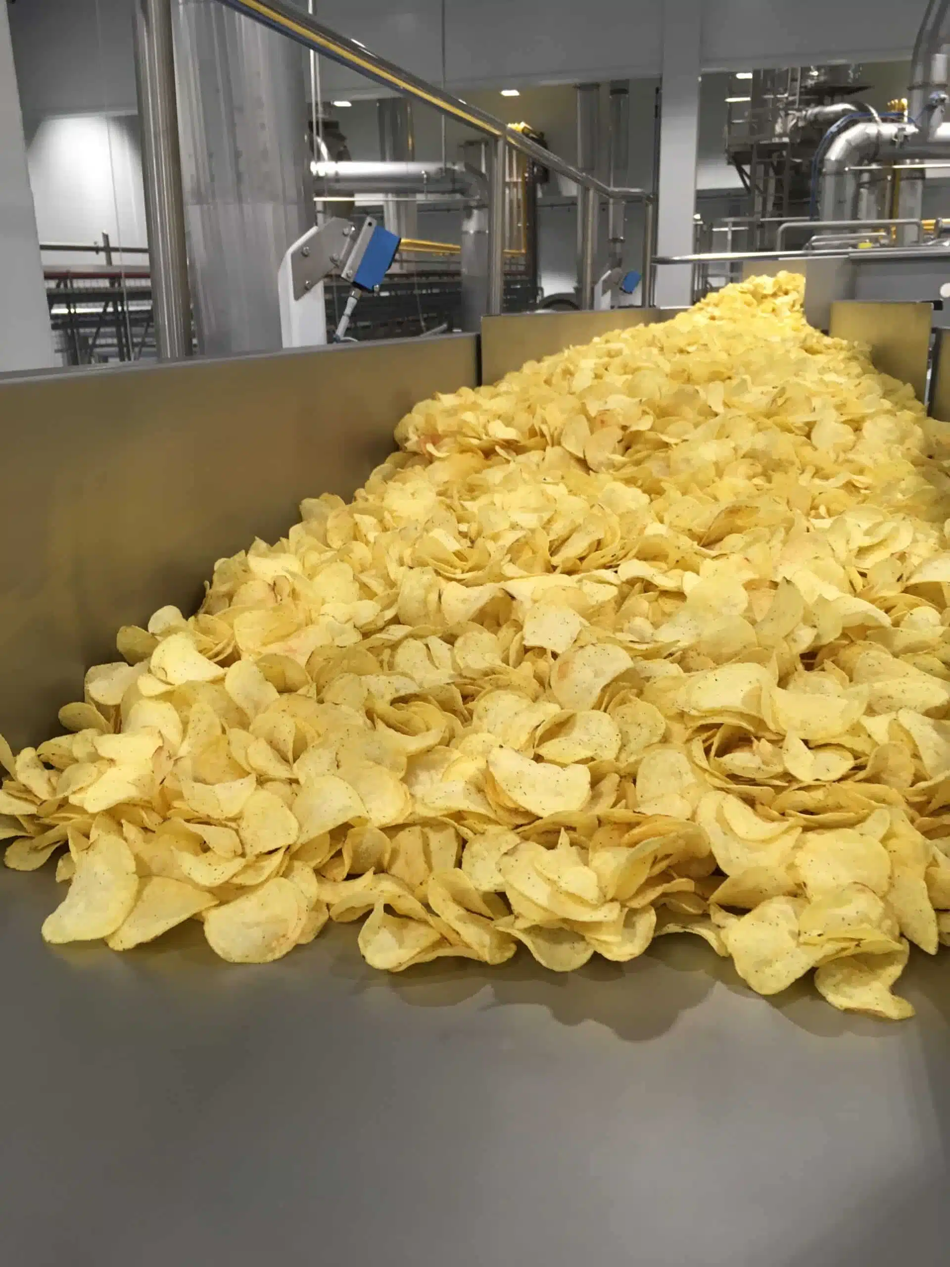Potato and Kettle Style Chips