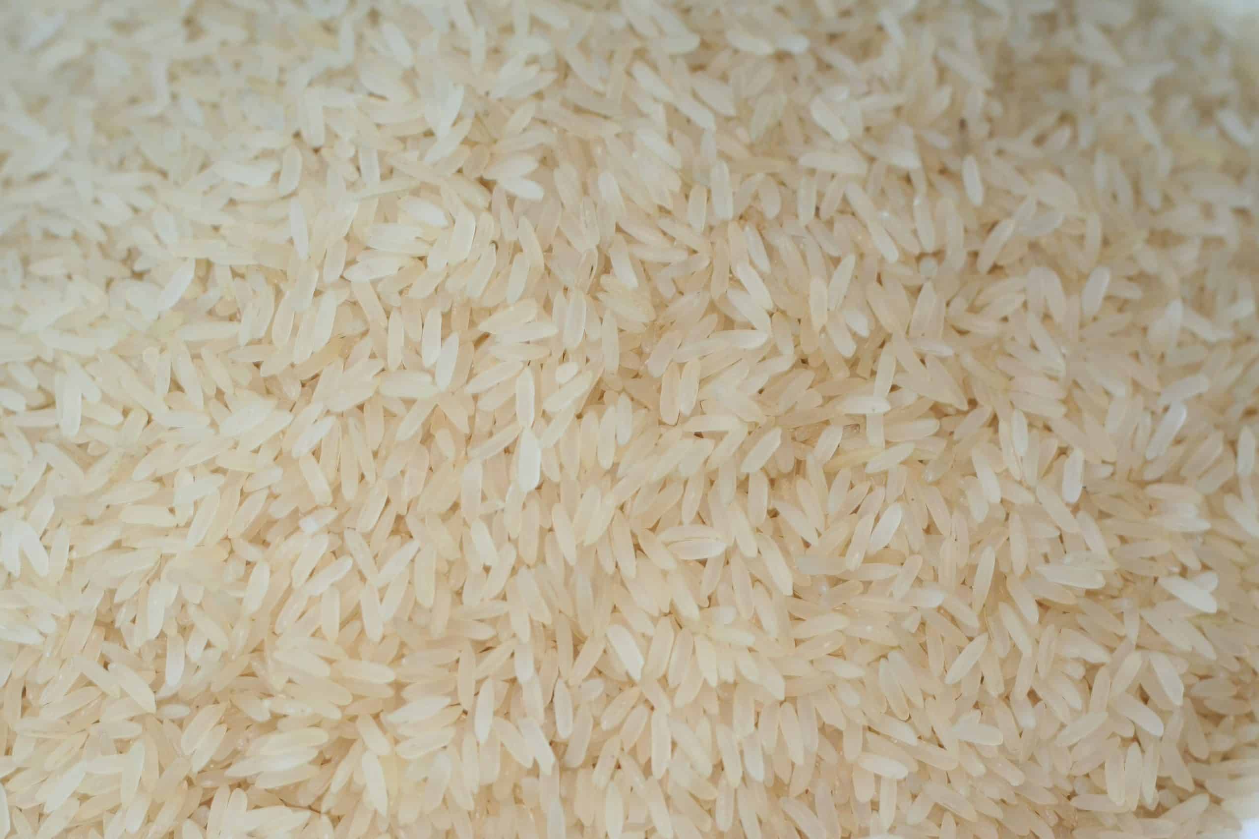Rice 2 scaled