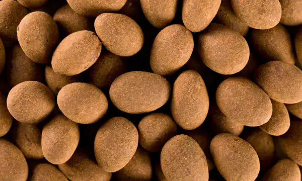 coated nuts