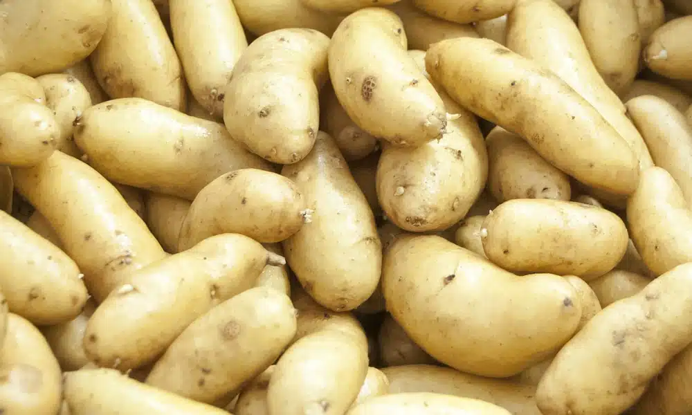 spuds