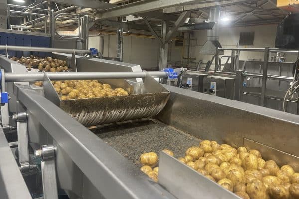 potato processing