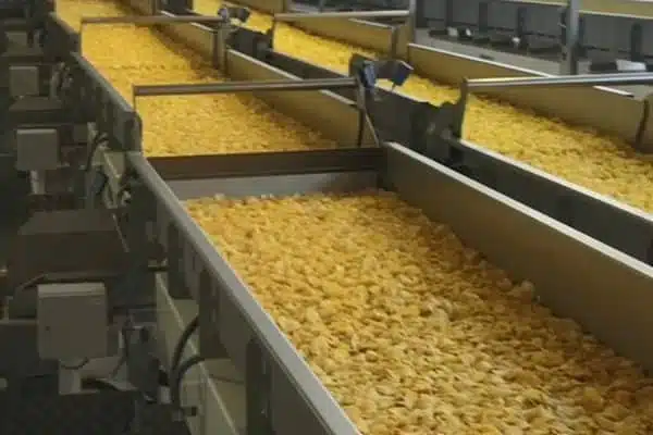 Food Grade Conveyor Systems