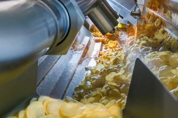 Snack Food Conveying Systems